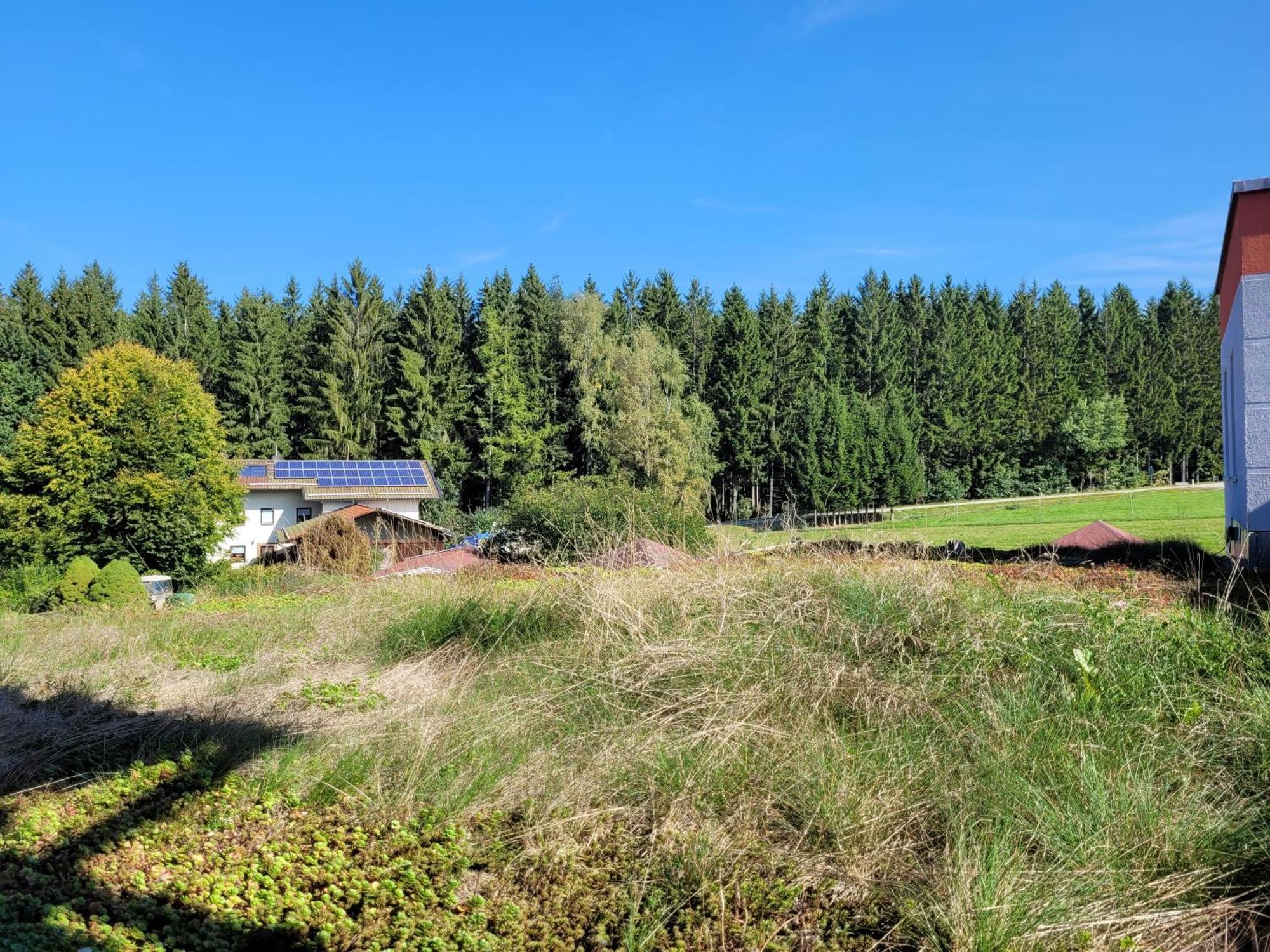 Pension Waldblick Bobrach ภายนอก รูปภาพ
